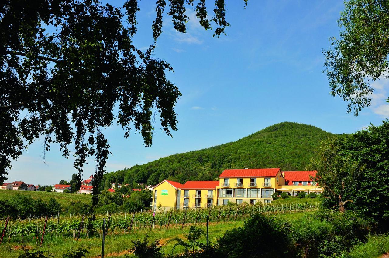 Wohlfuehlhotel Alte Rebschule Rhodt unter Rietburg Exterior photo